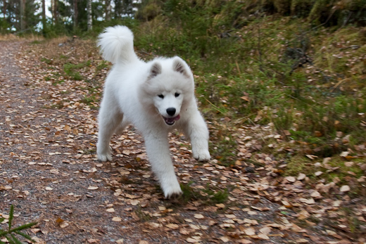 20091031-IMG_2446.jpg