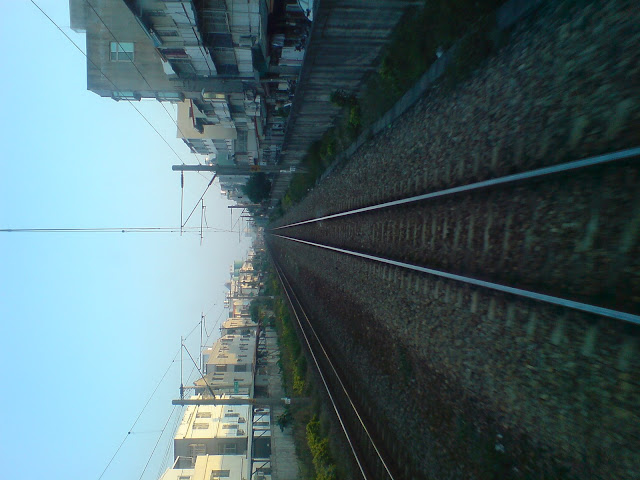 DSC05564.JPG