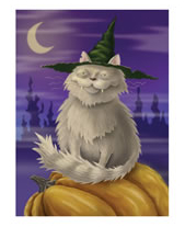 cat_on_pumpkin.jpg