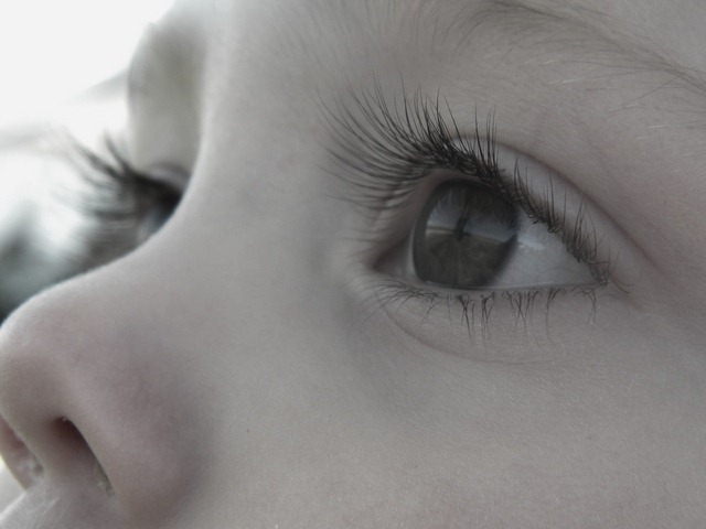 [grey eyes[5].jpg]