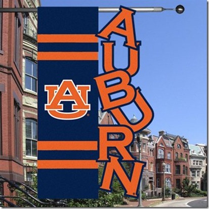 Auburn flag