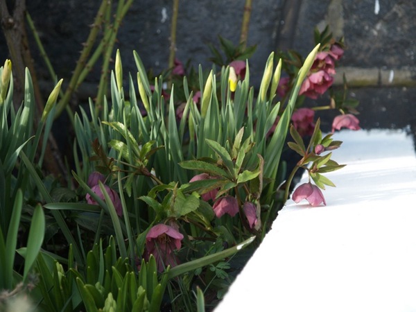 2009-04-09 (78)