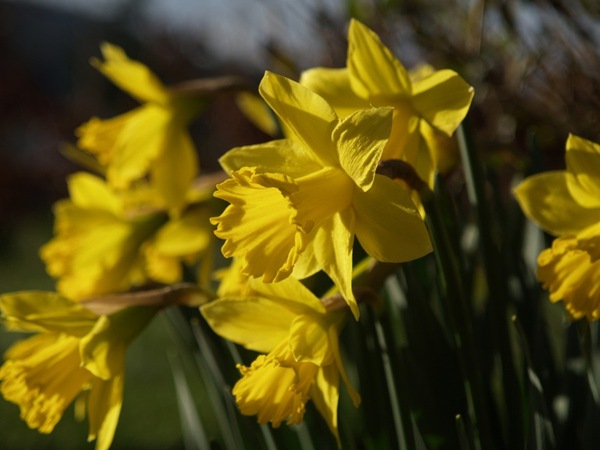 2009-04-09 (2)