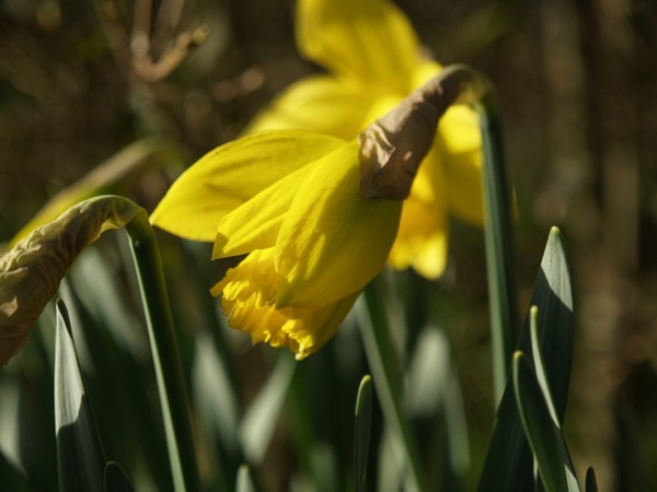 2009-04-09 (13)