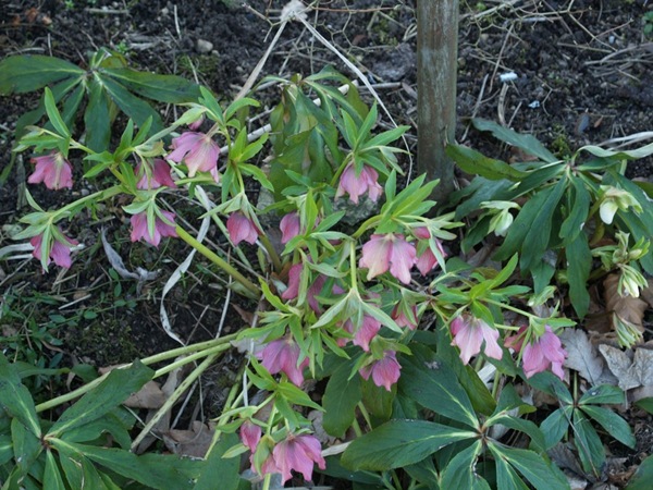 P4034776