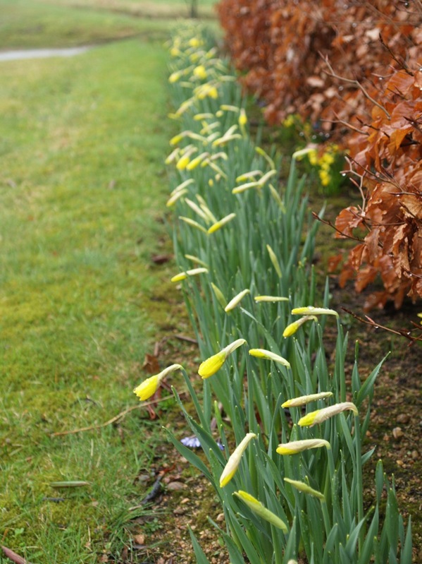 2009-04-13 (9)