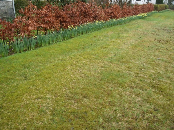 2009-04-13 (10)