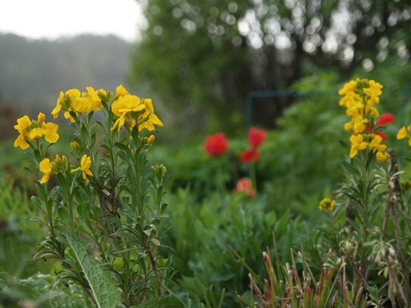 2009-05-07 Mai (14)