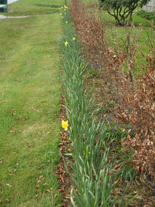 2009-05-07 Mai (38)