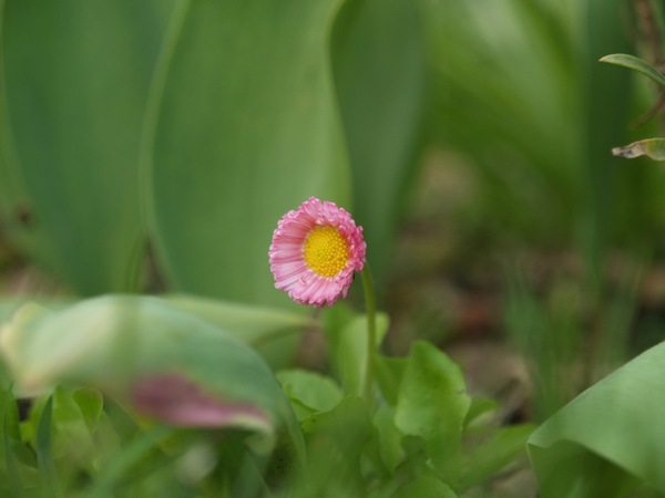 2009-05-07 Mai (23)