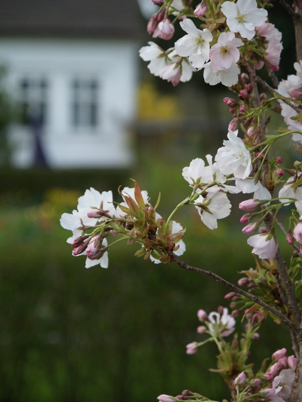 2009-05-07 Mai (46)