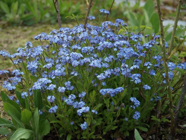 2009-05-07 Mai (57)