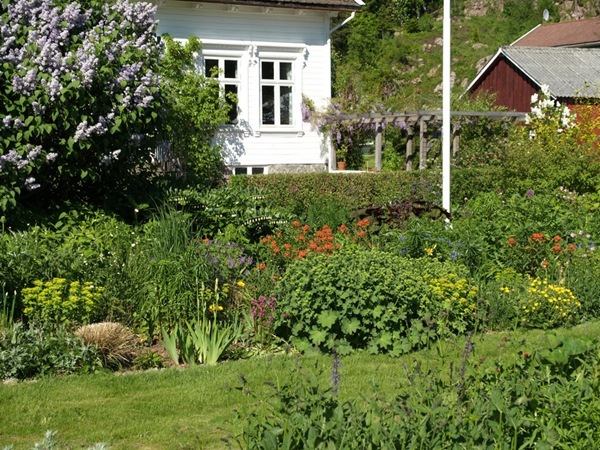 2009-06-01 (25)
