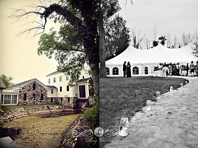 Amy Carroll Photography at Sharon Mills