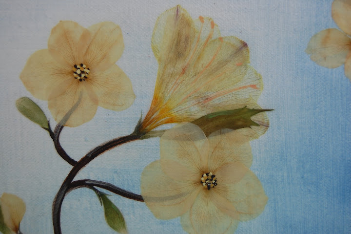 Bouquet preservation