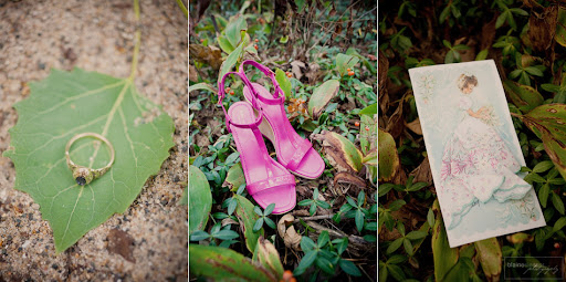 Blaine Siesser Michigan wedding photographer