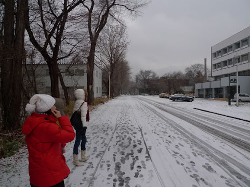 P1050007.JPG