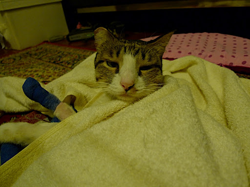 P1030247.JPG