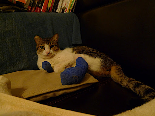 P1030241.JPG