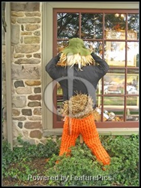 Peeping-Scarecrow-139396