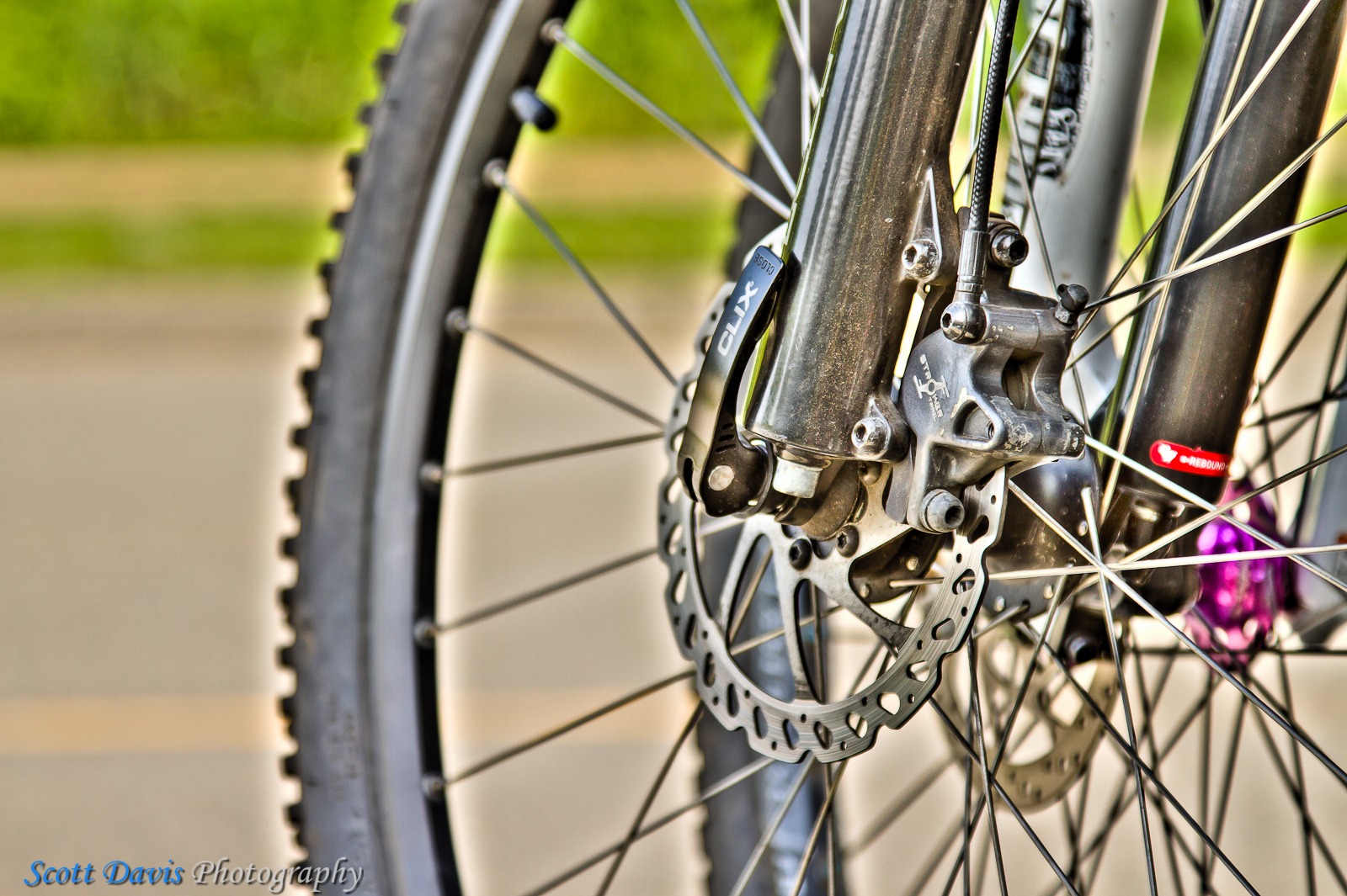 [SDP-20100626-70HDR[3].jpg]