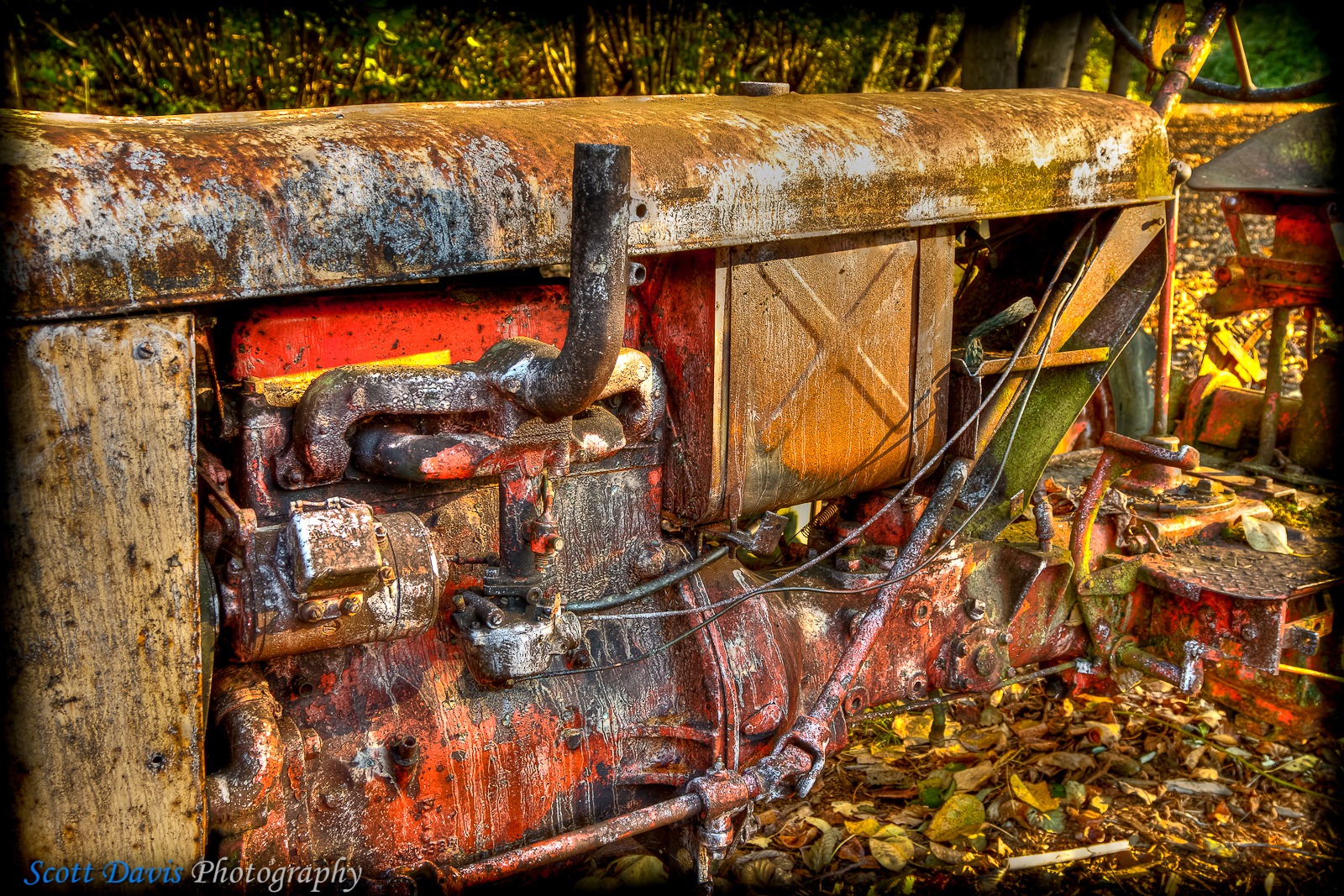 [SDP-20101016-115HDR[3].jpg]