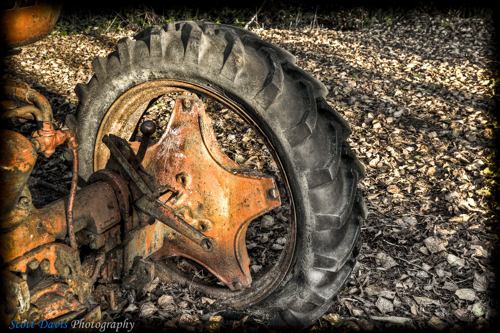 [SDP-20101016-121HDR[3].jpg]