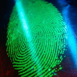 la-identidad la-identidad