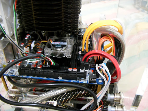 SDC10138.JPG