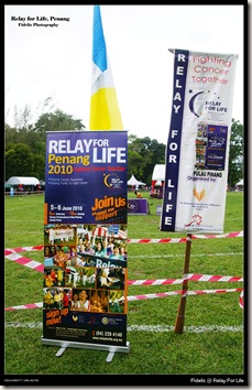 RFLife1 RFLife1
