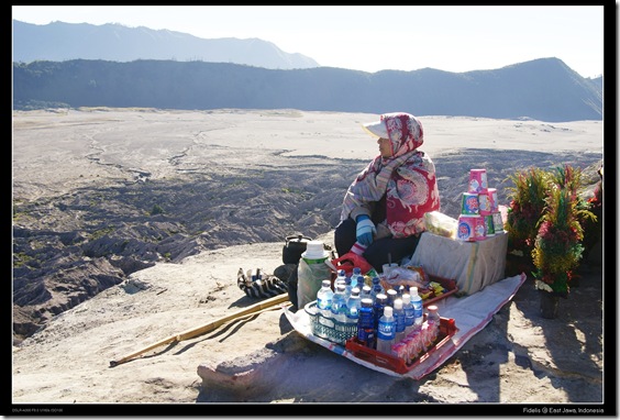 bromo48 bromo48