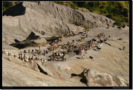 bromo47 bromo47