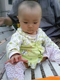 小鸟儿