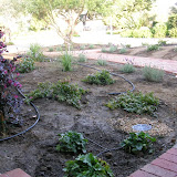 Slideshow Irrigation and Drainage