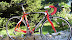 Pinarello Prince 2008 / Selles Fizik Arione, Groupe Campagnolo Record, Roues Shimano, Porte bidon Elite Moro. Pour Nicolas R.