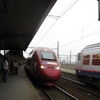 IMG_2774.JPG