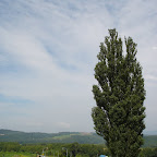 DSC00047.JPG