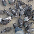 DSC01270.JPG
