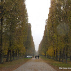 P1010723.JPG