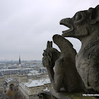 P1020335.JPG