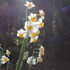 IMG_0664.JPG