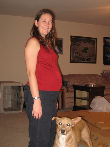 One last picture at 24 weeks!
