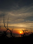 ss08_05.jpg