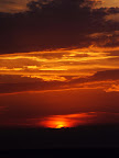 ss09_01.jpg