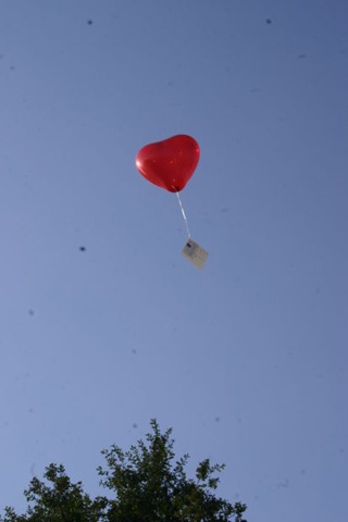 [ballong[8].jpg]