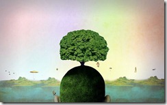 tree_wp_14 tree_wp_14