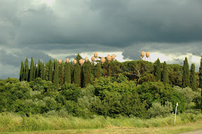 DSC_5245.jpg