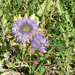 P1070716.JPG