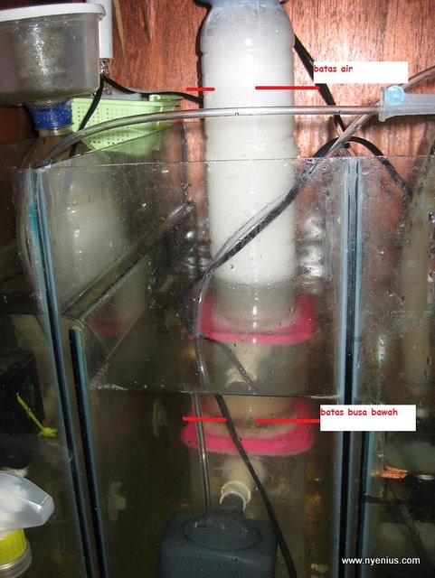 Diy Skimmer Botol Aqua Dan Tupperware Indonesia S Saltwater Aquarium Hobbyist Community