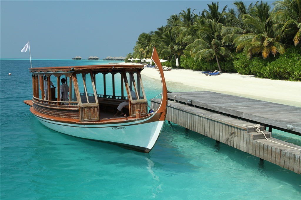 [IMG_04732.jpg]